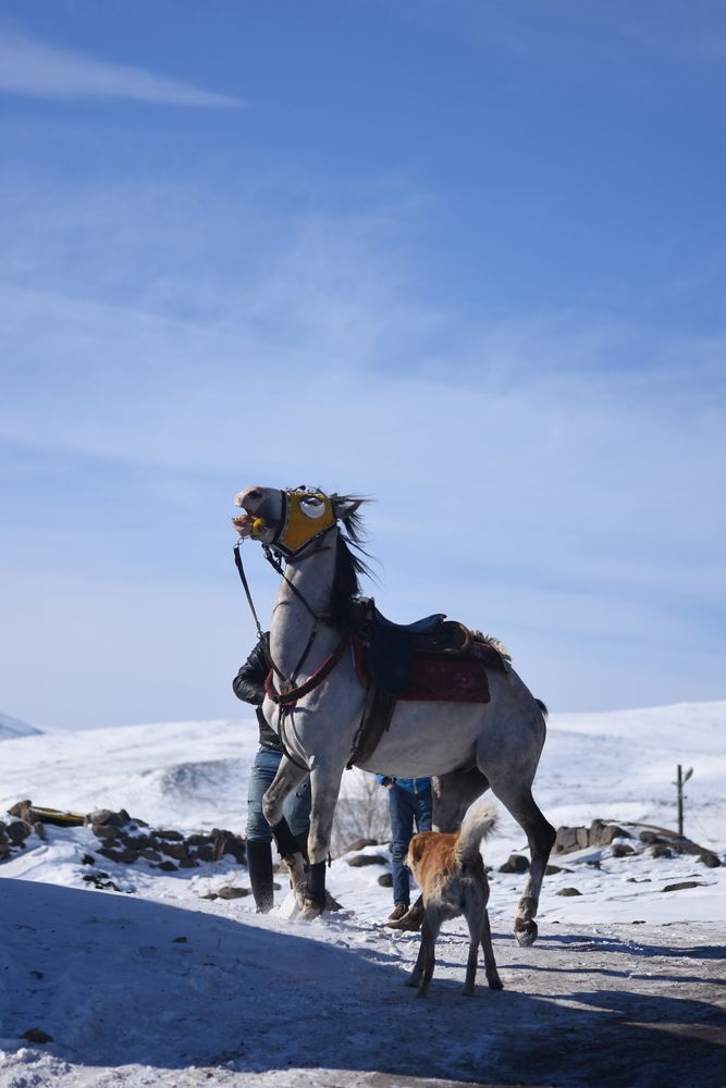 Photograph by fuat cimok