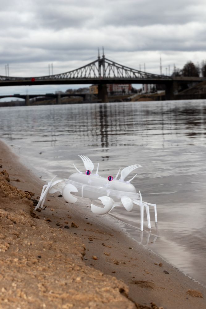 Photograph by Андрей Корякин