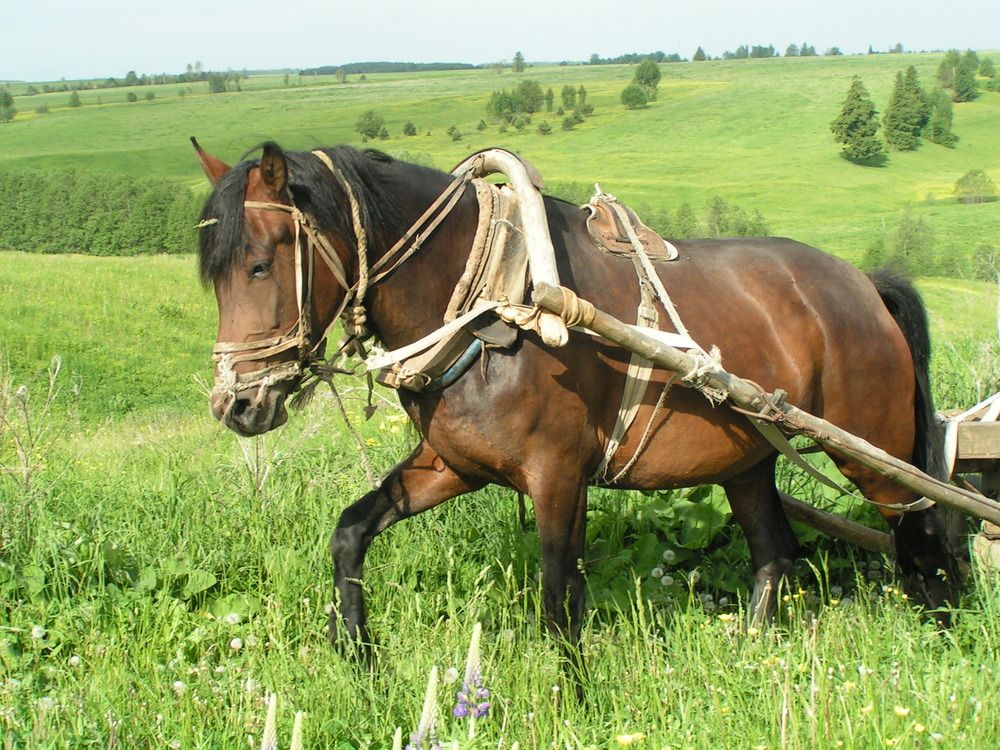 Фотография автора Клавдия Васильева