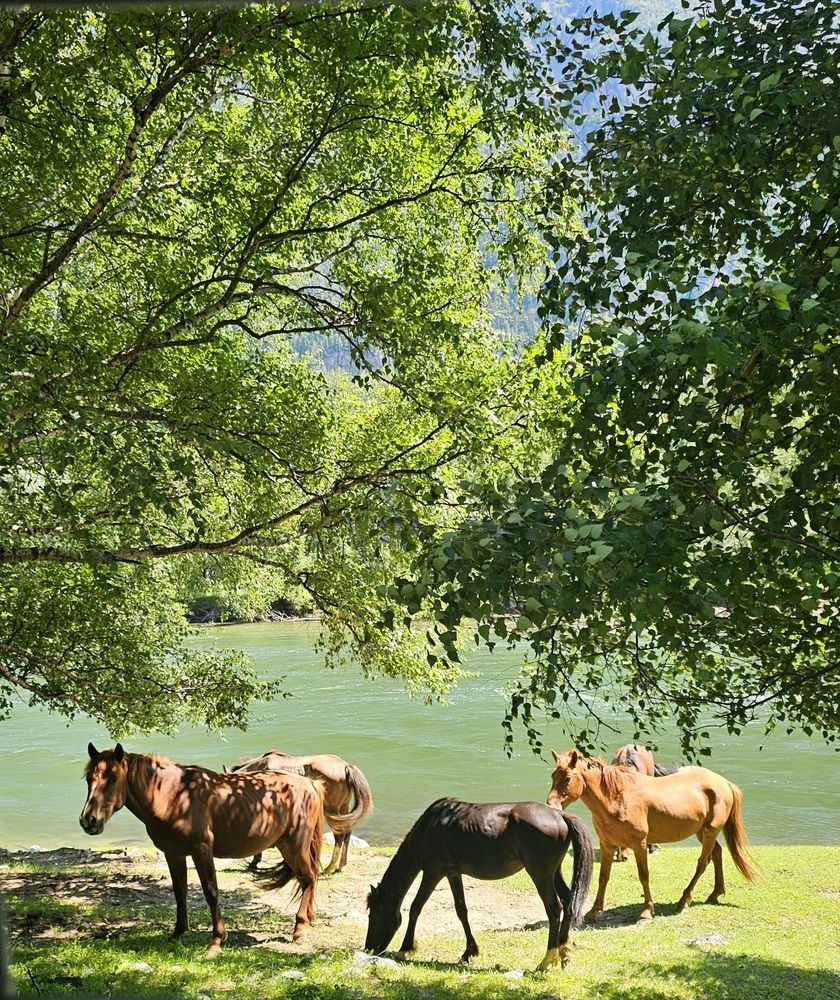Акташ. Горный Алтай