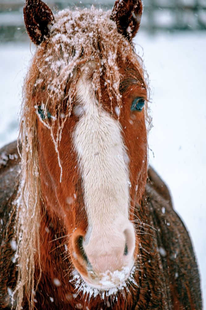 Photograph by Евгений Соколов