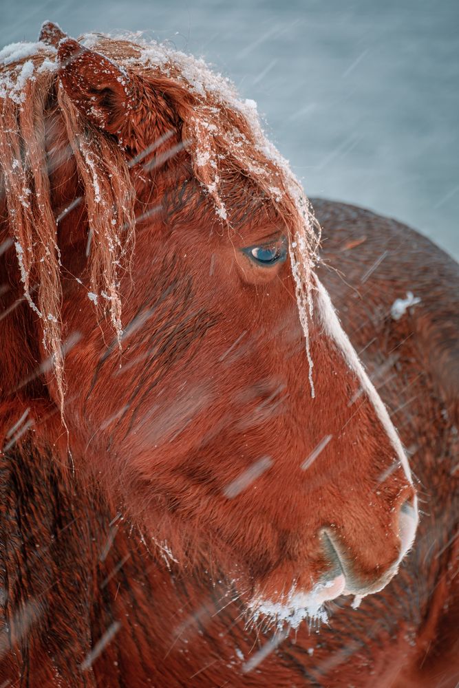 Photograph by Евгений Соколов