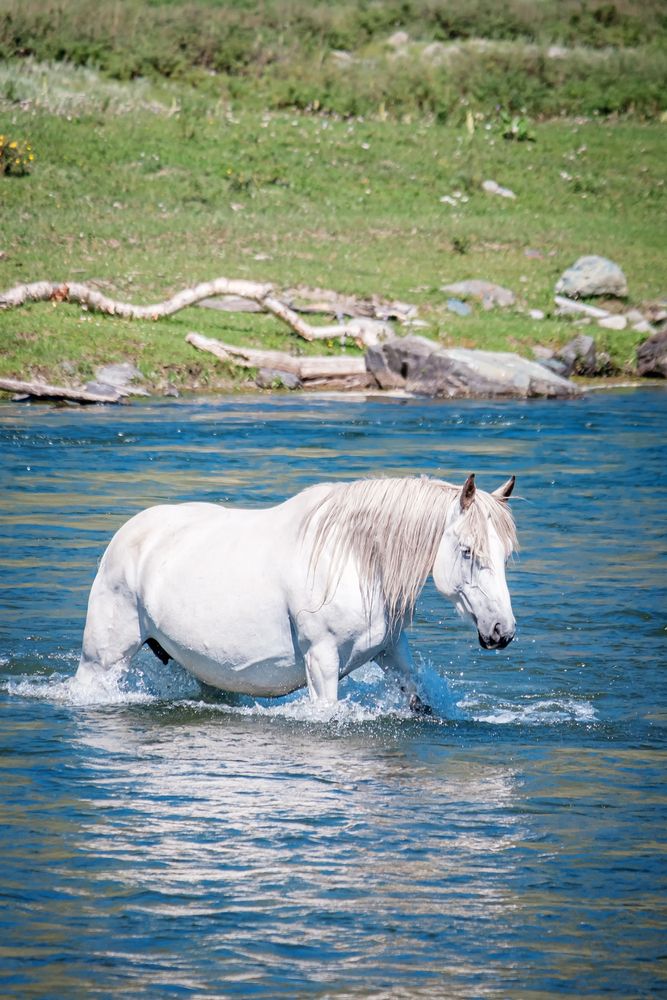 Photograph by Евгений Соколов