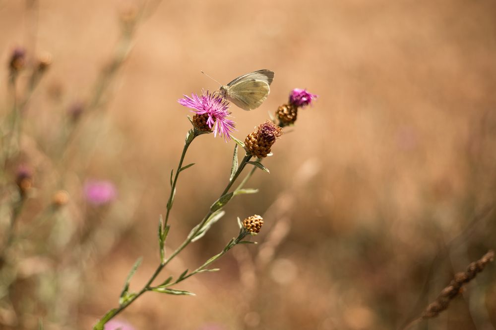 Photograph by Татьяна Кайзер