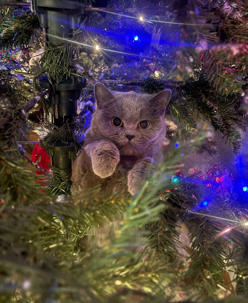 Фотография автора Александр