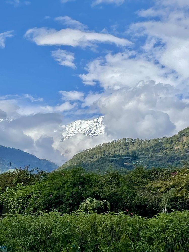 Photograph by VIPUL BAGGA