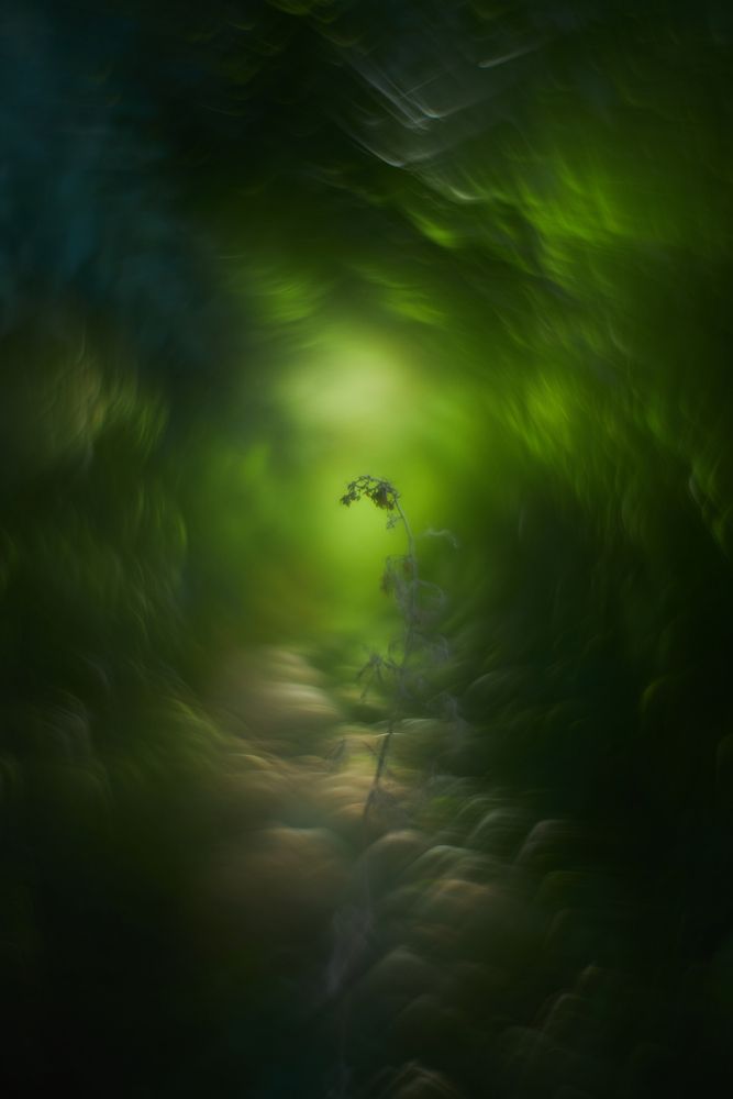 Photograph by Дмитрий Осипчук