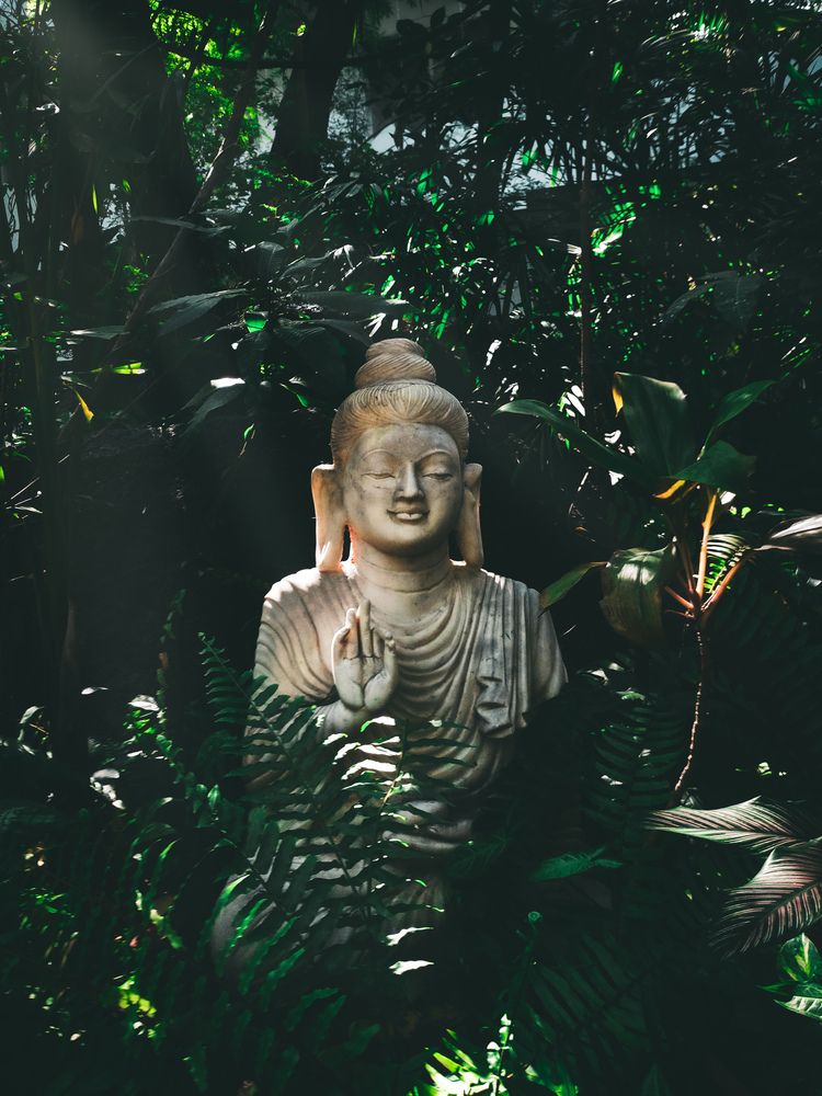 Where Silence Breathes