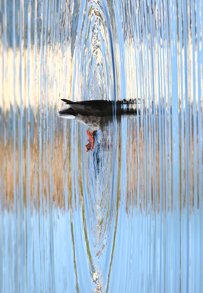 Photograph by Ирина Курьянова