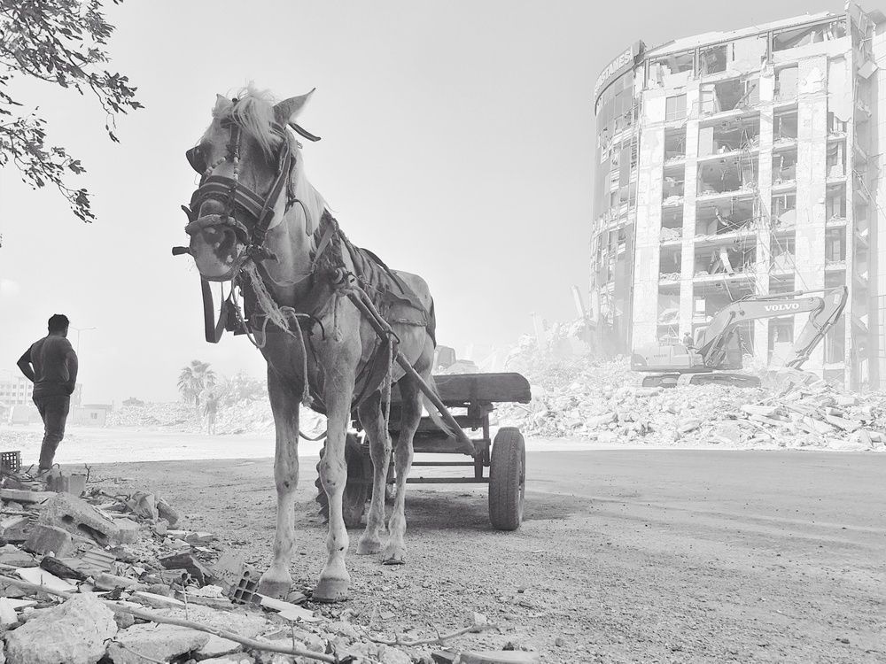 Photograph by fuat cimok