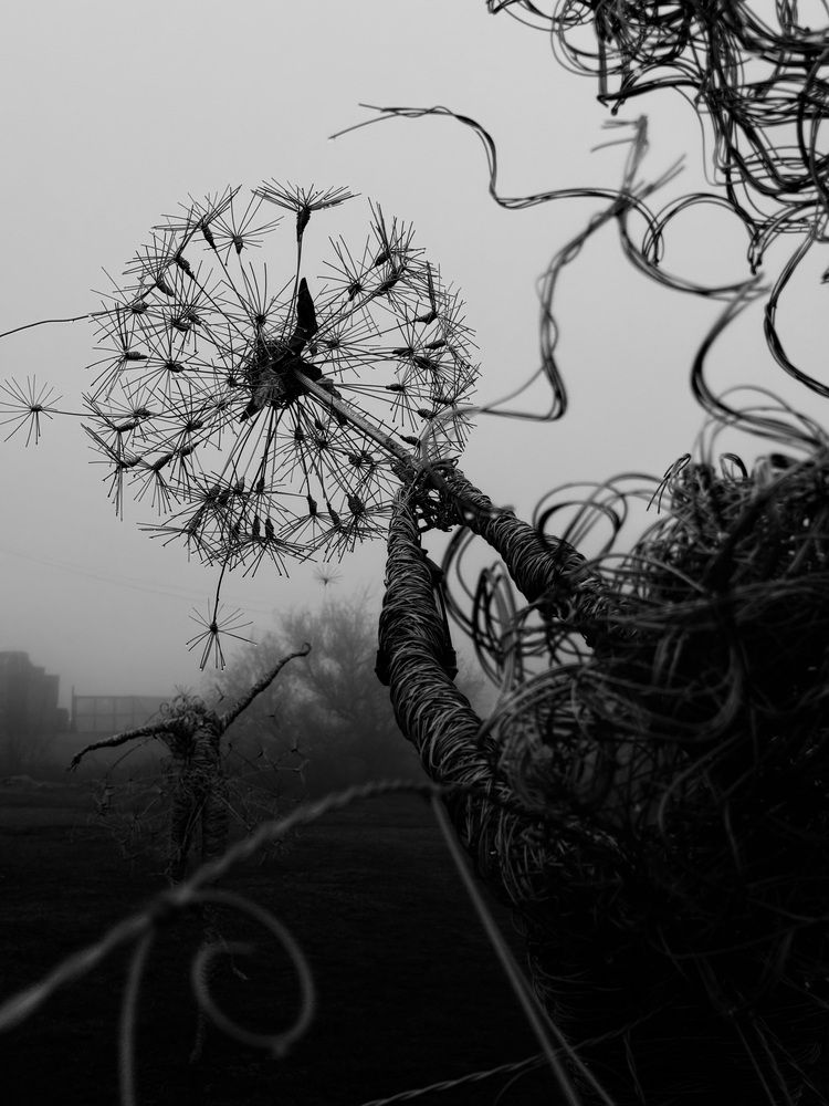 Photograph by Ксения Сидорина