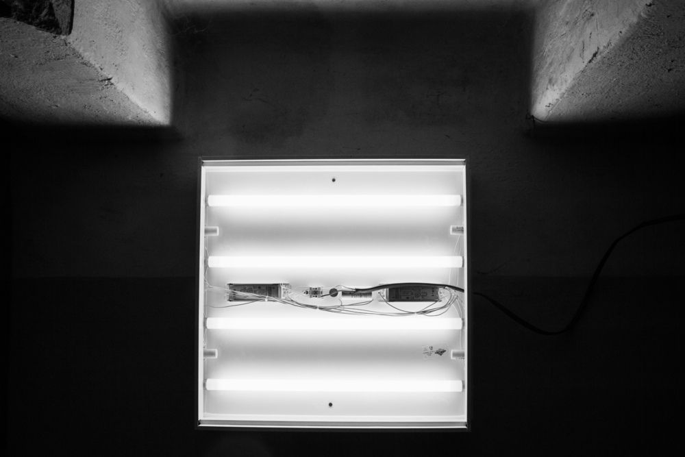 Photograph by Алексей Соколов