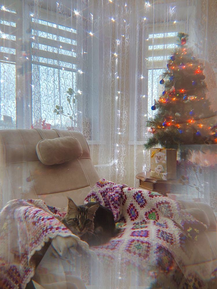 Photograph by Александра Тяпкина