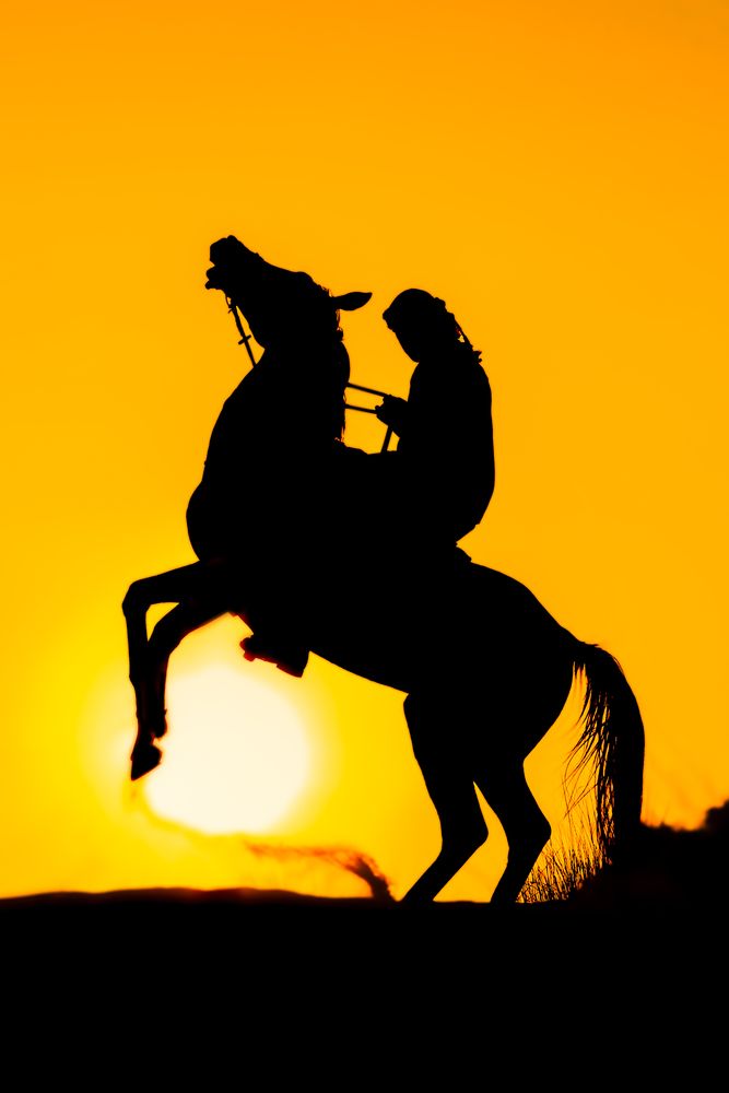 Photograph by Hadine elsaadi