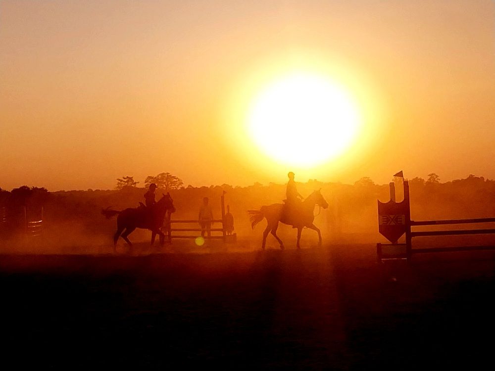 Photograph by Rahul Raman