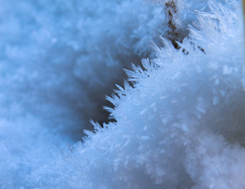 Photograph by Елена Попова