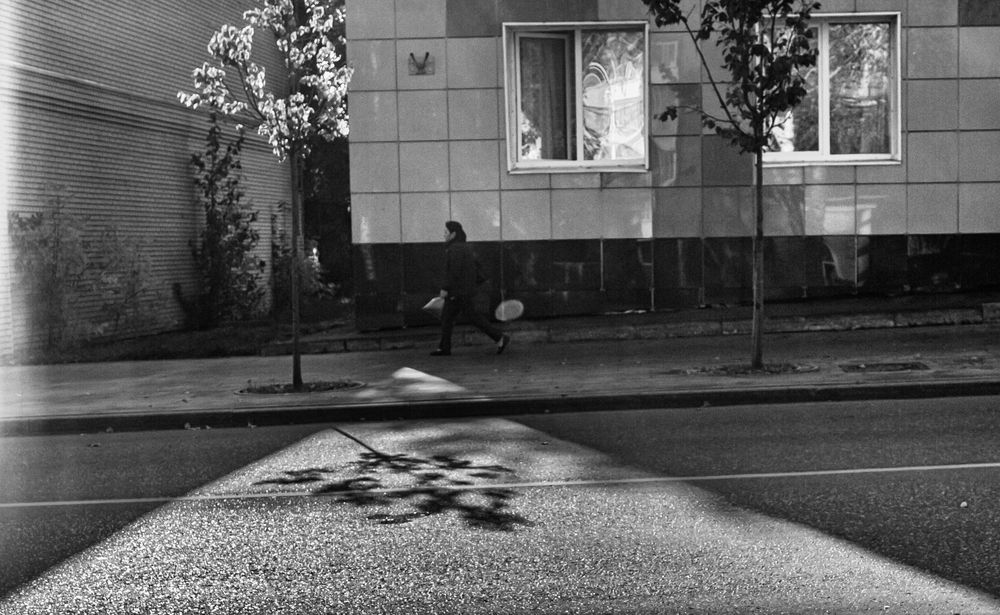 Photograph by Алексей Соколов