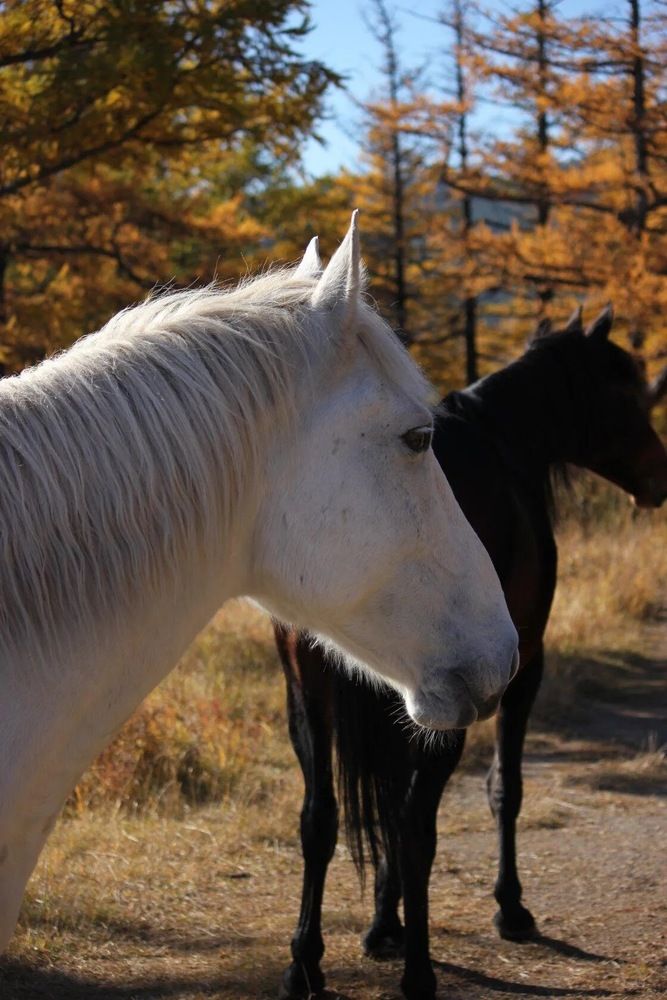 Photograph by Марина Мишутина