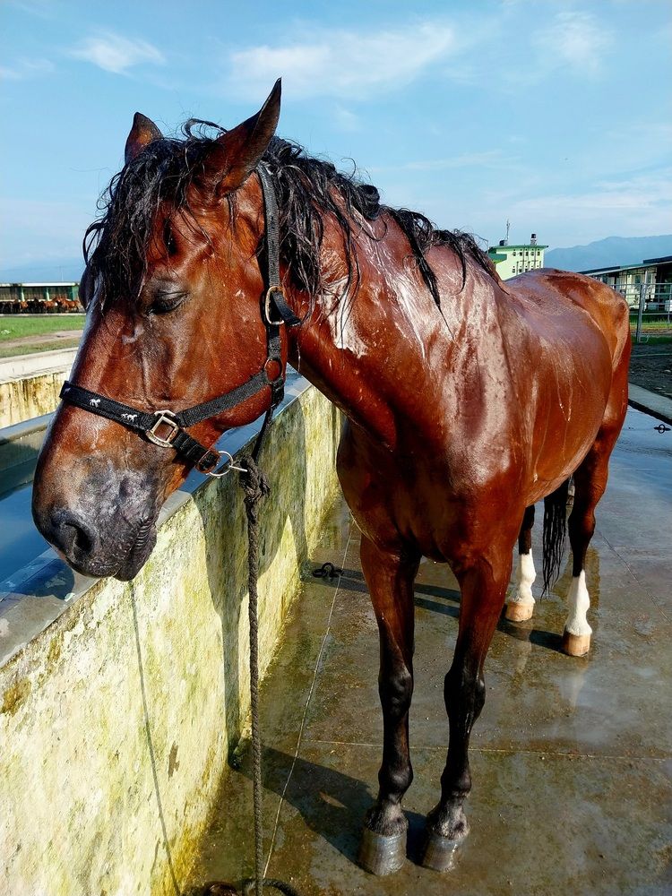 Photograph by Rahul Raman