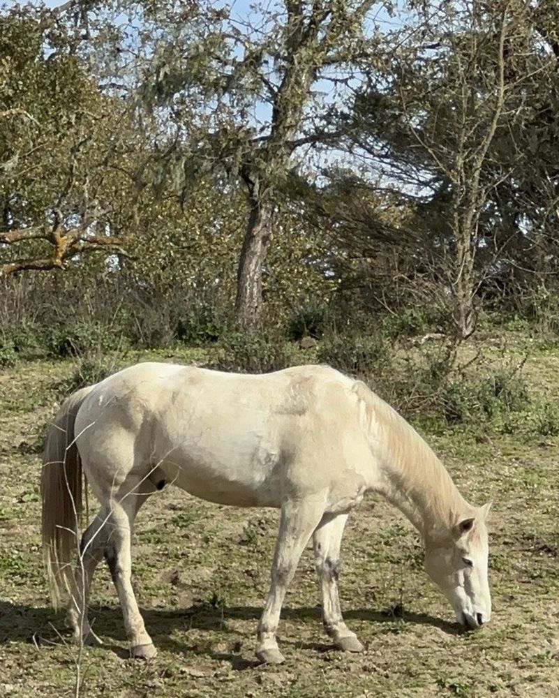 Photograph by Тамара Шкарупа