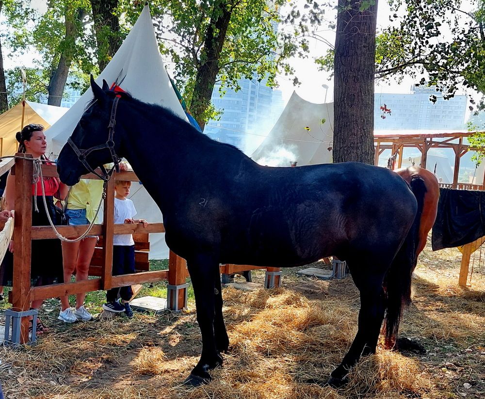 Photograph by Тамара Шкарупа