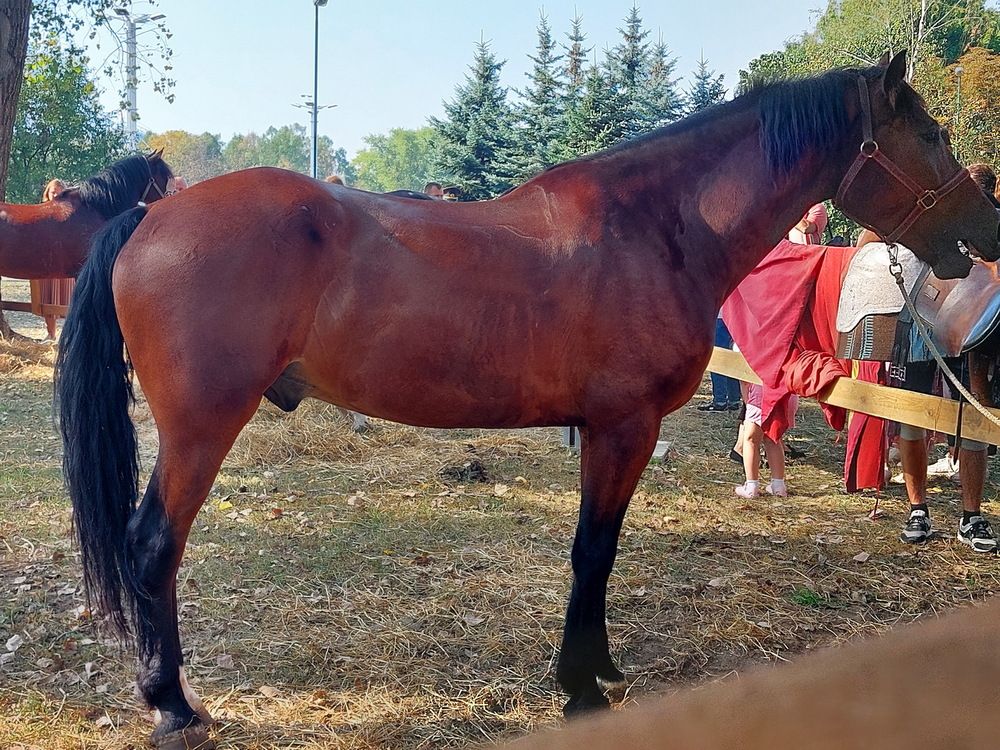 Photograph by Тамара Шкарупа