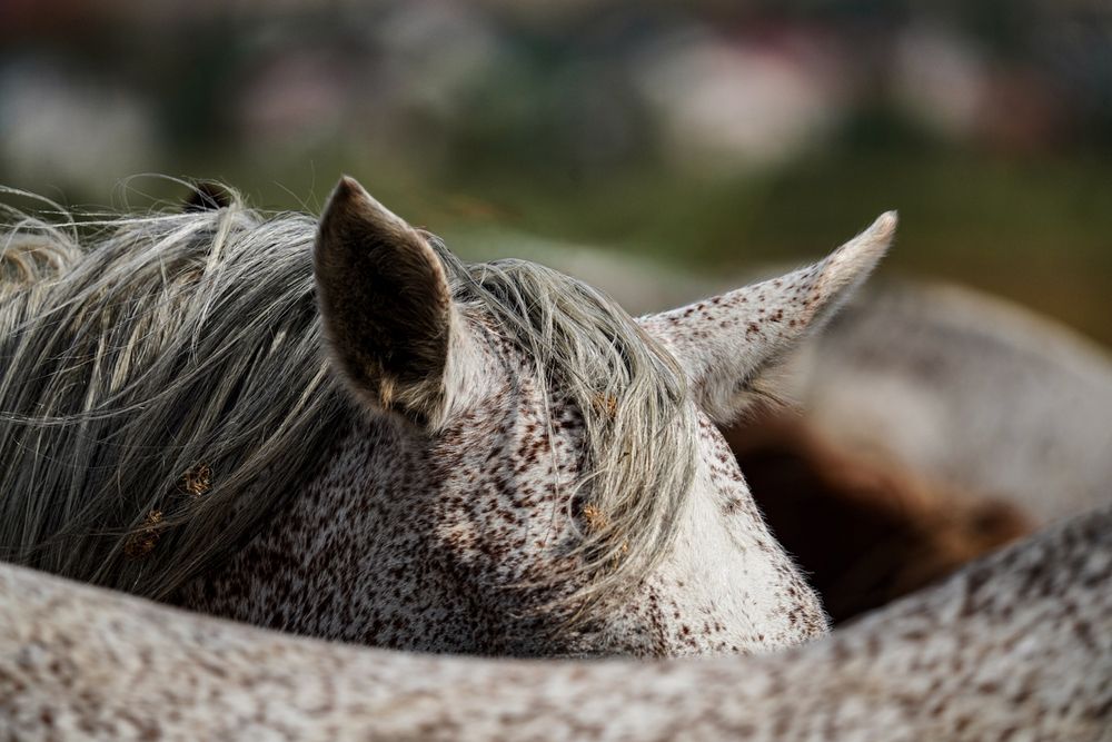 Photograph by Максим Буров