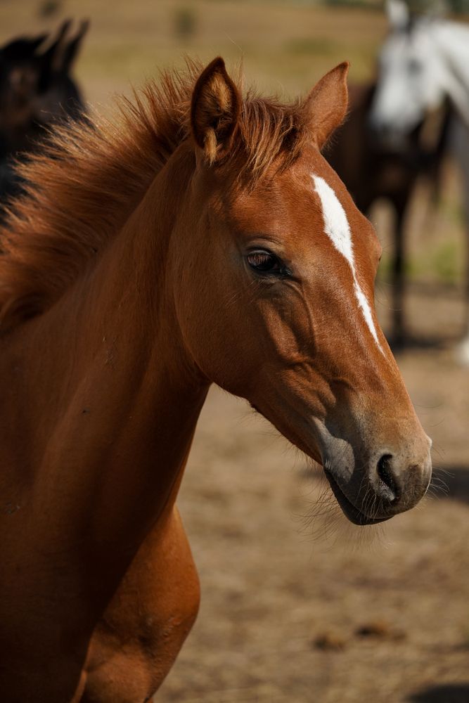 Photograph by Максим Буров