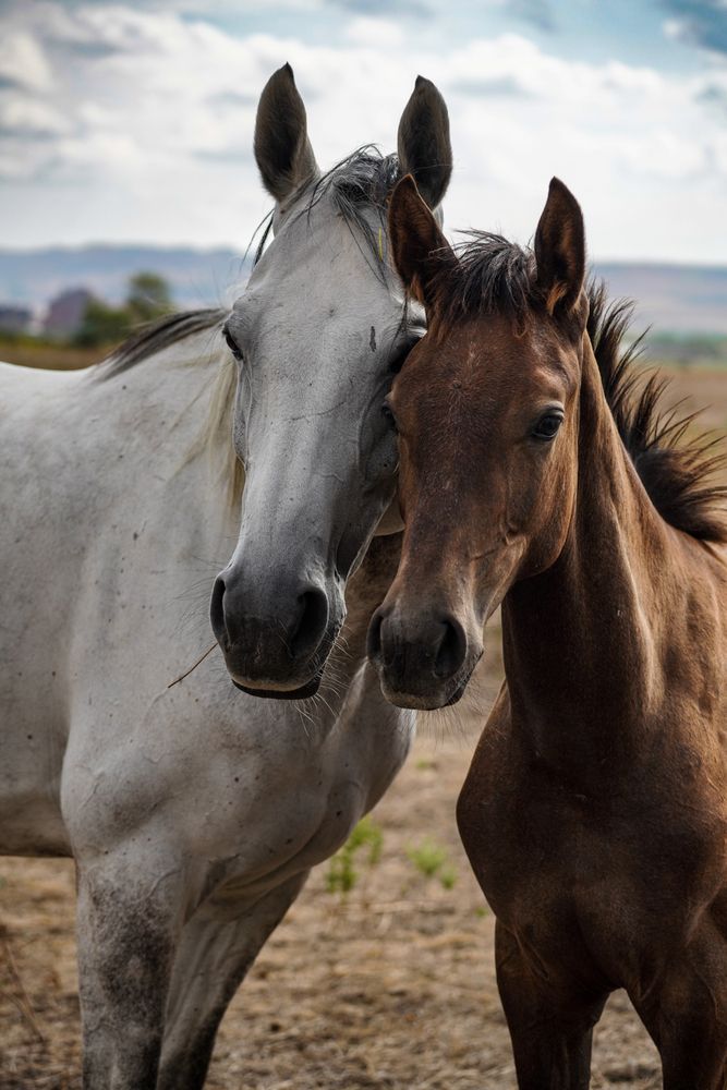 Photograph by Максим Буров