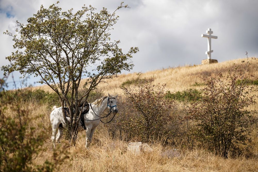 Photograph by Максим Буров