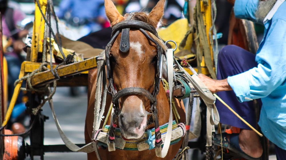 Photograph by Anurag Kashyap