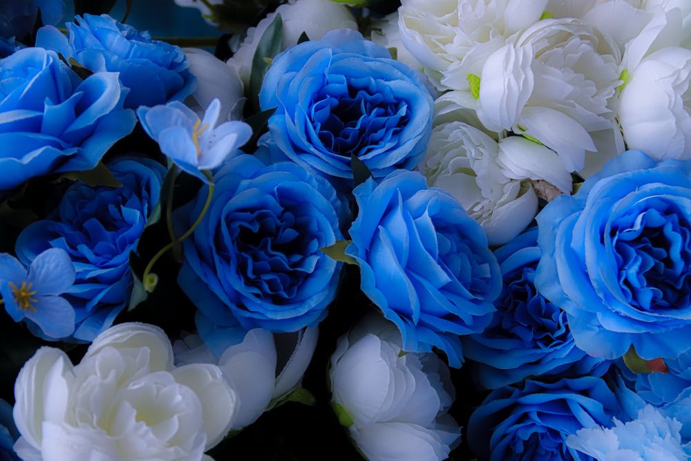 Photograph by Аня Проскурякова