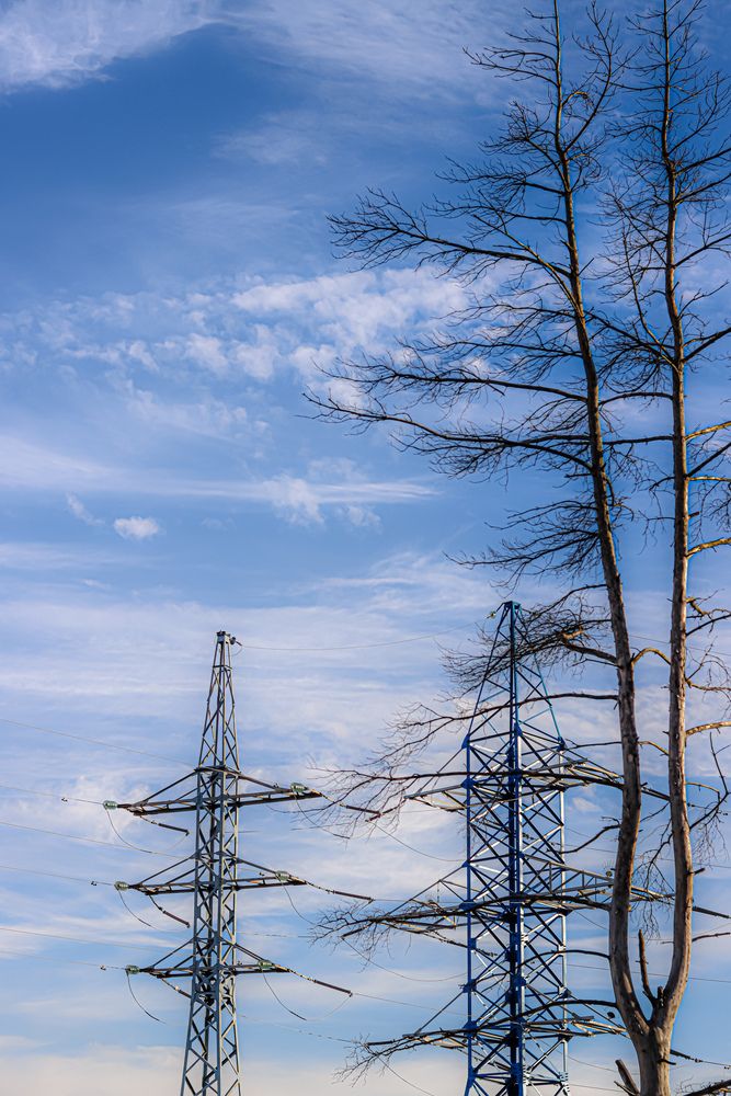 Photograph by Аня Проскурякова