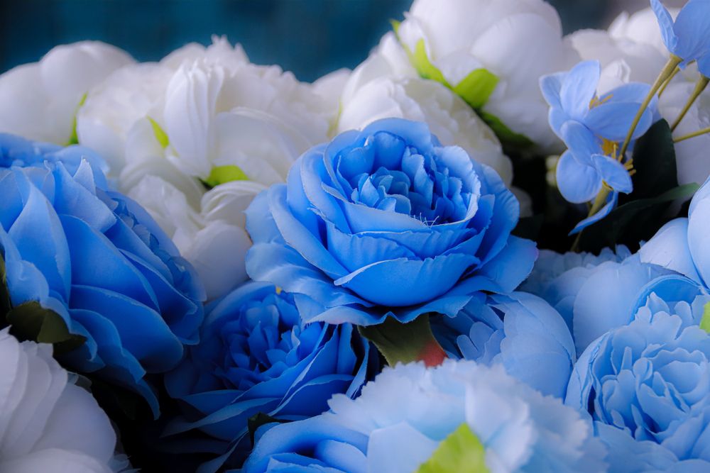 Photograph by Аня Проскурякова