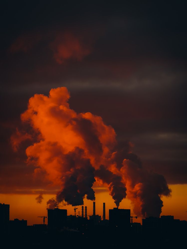 Photograph by Алёна Горошко