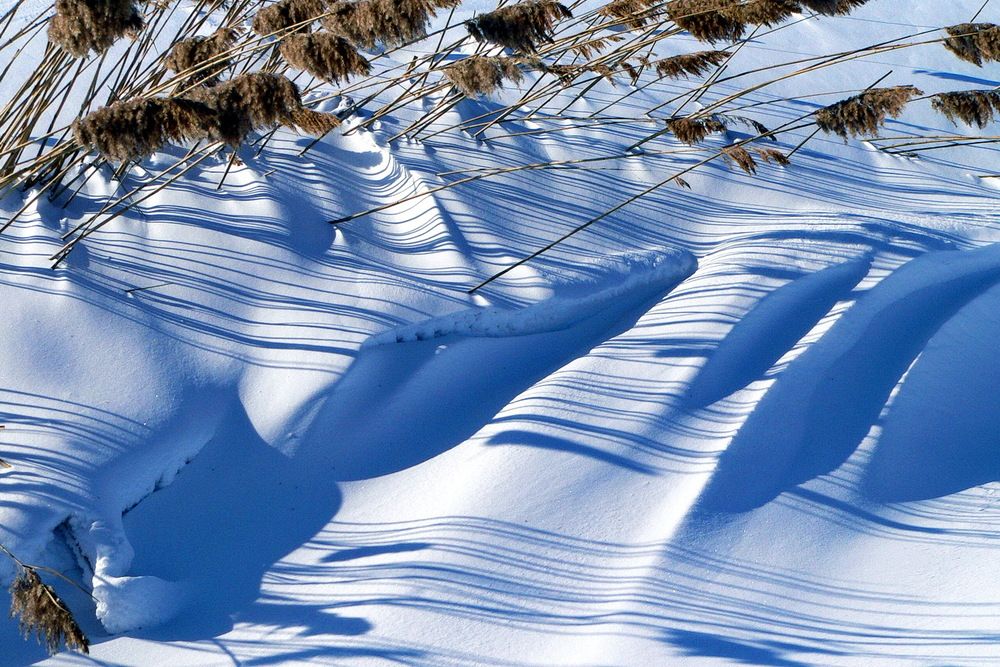 Фотография автора Александр Челмодеев