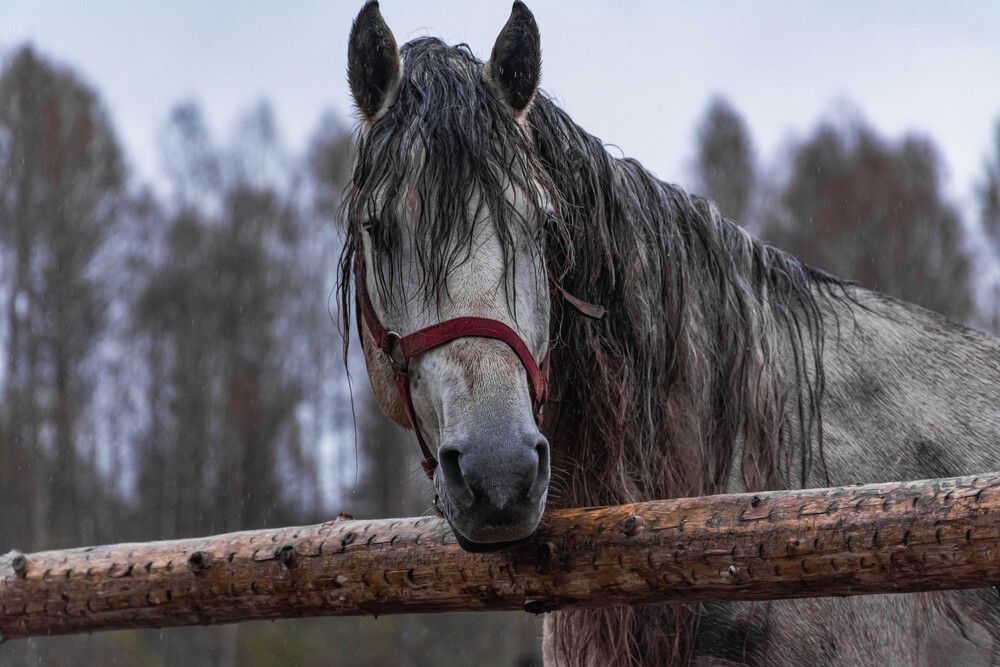Photograph by Людмила Баймухаметова
