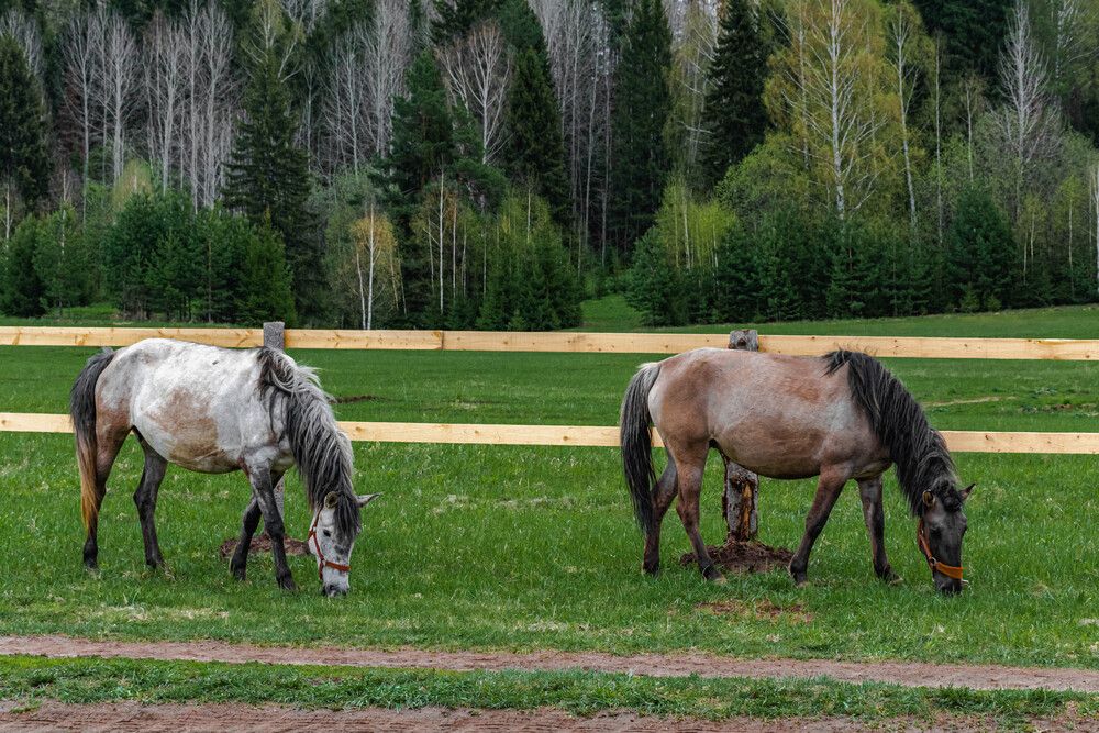 Photograph by Людмила Баймухаметова