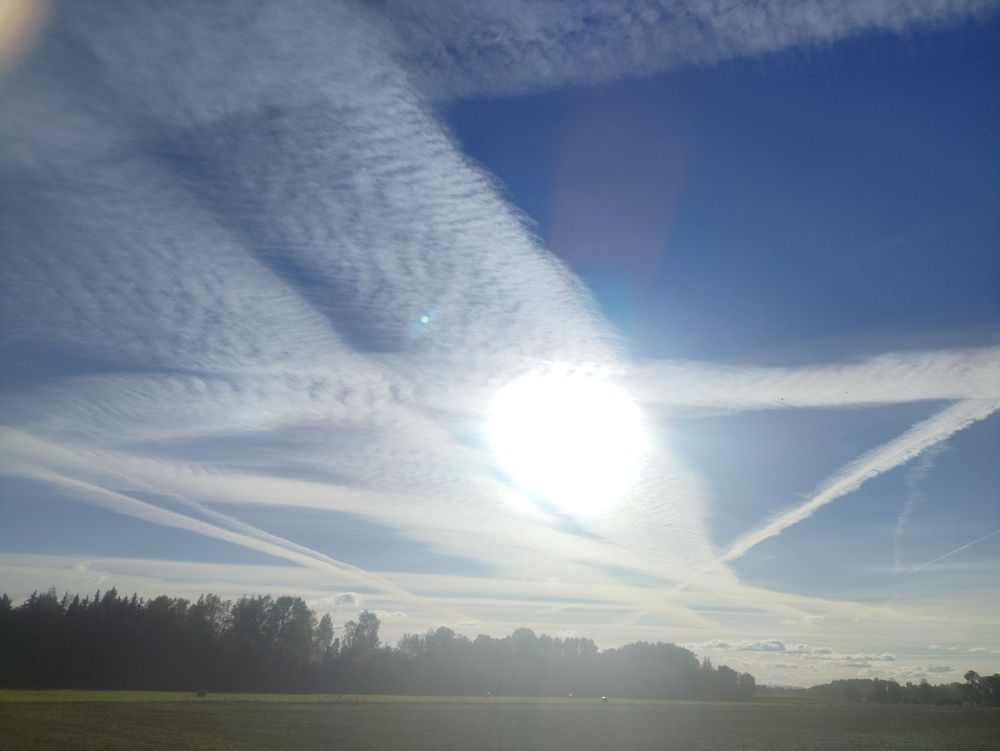 Фотография автора Лебедев Игорь