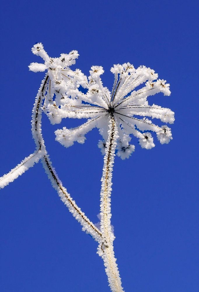 Photograph by Мишустина Татьяна