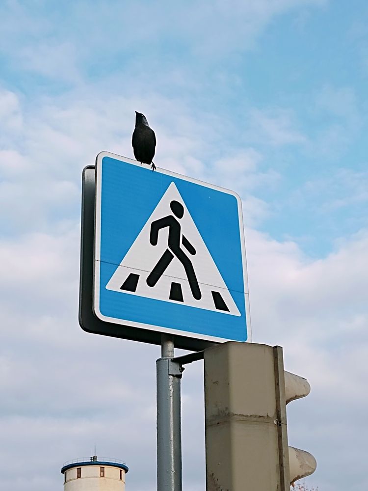 Photograph by Ирина Семенович