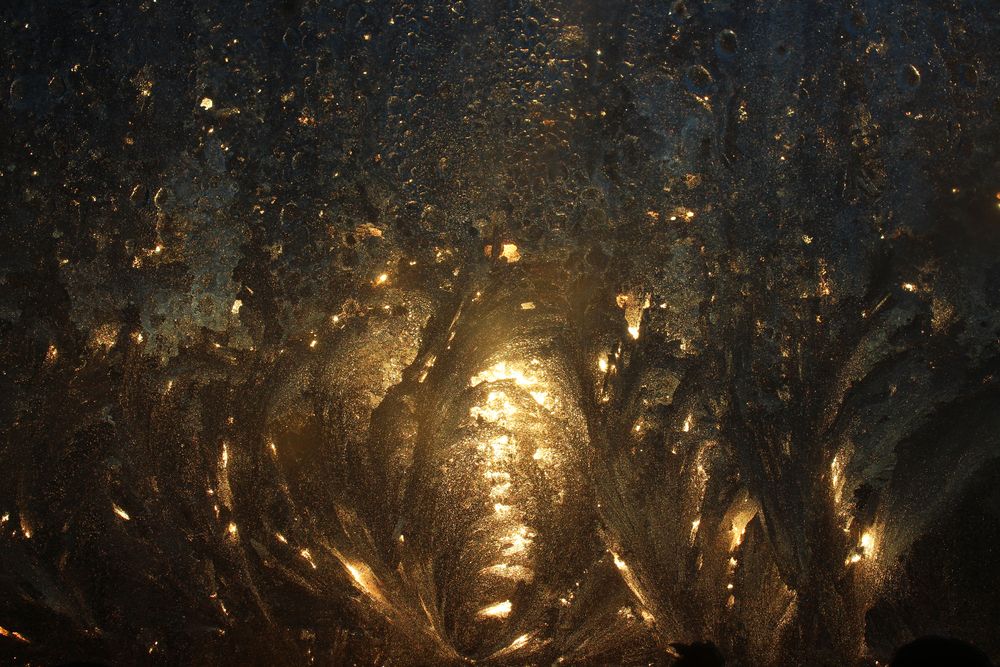 Photograph by Светлана Шубина