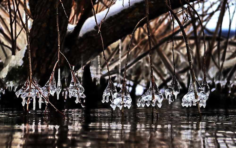 Photograph by Александр Лазебник