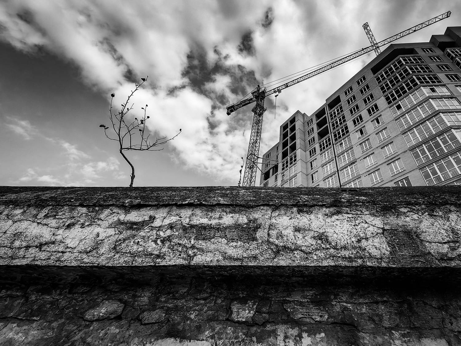 Фотография #12994031