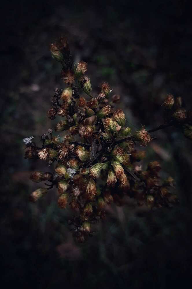 Фотография автора Юлия Лизунова