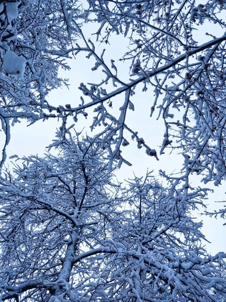 Photograph by Юлия Гусева