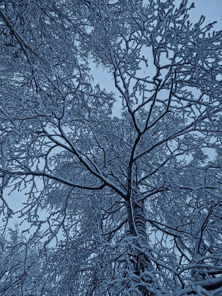 Photograph by Юлия Гусева
