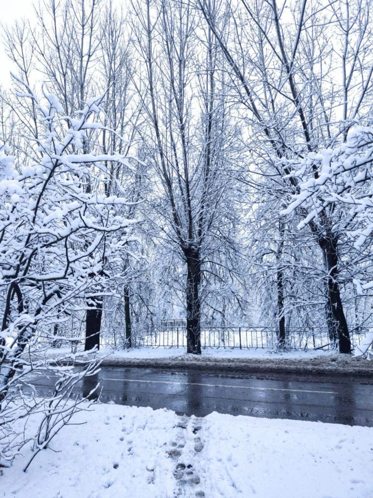 Photograph by Юлия Гусева