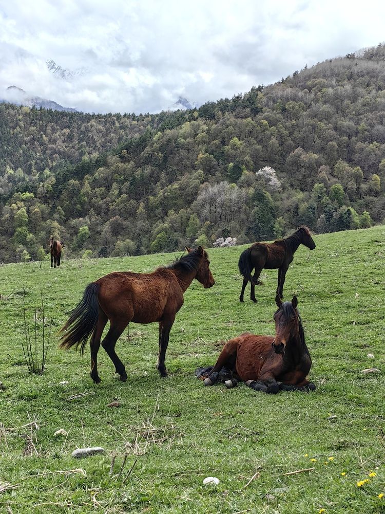 Photograph by OLGA MIKHNEVICH