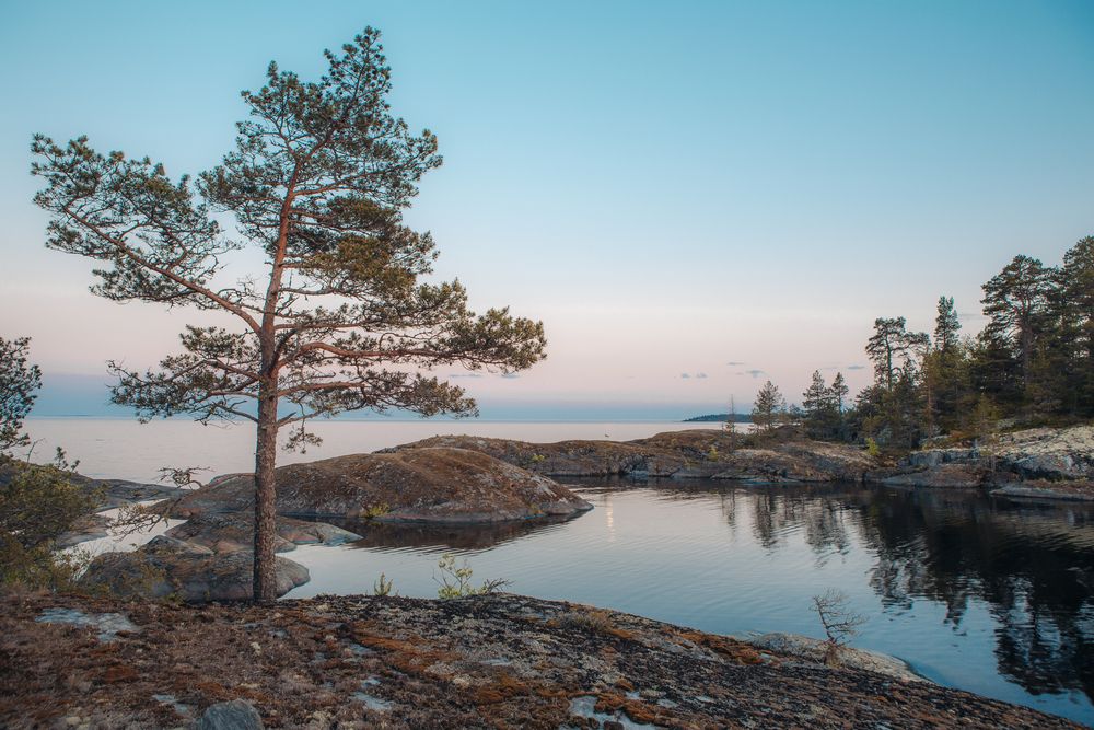 Photograph by Алексей Новиков